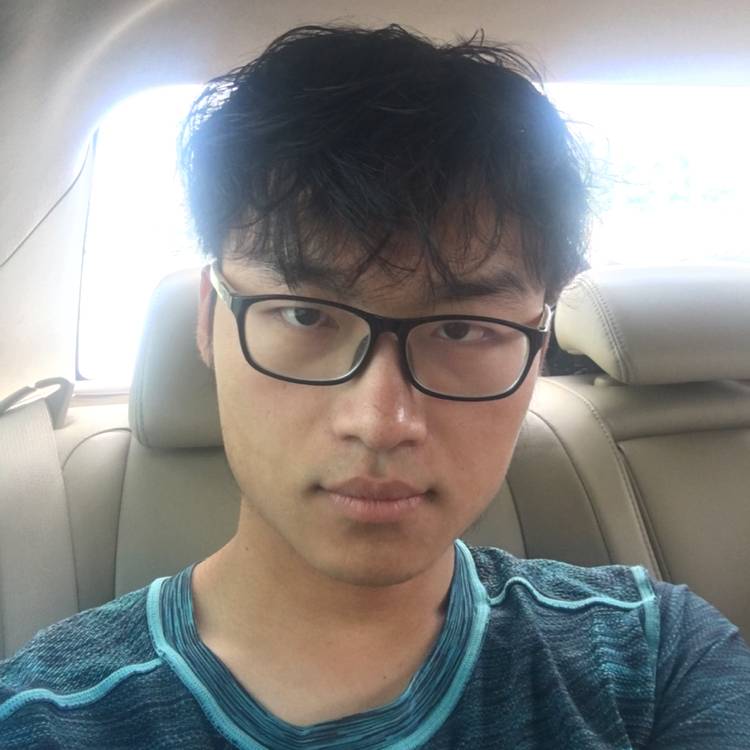 狮子代码员的照片