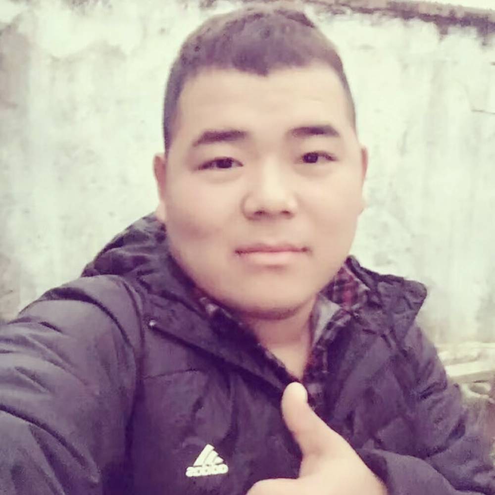 随缘,而来的照片
