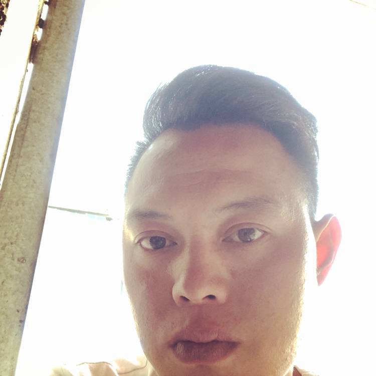 痛言的照片