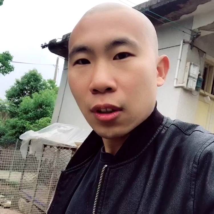 寻找一起的那个她的照片