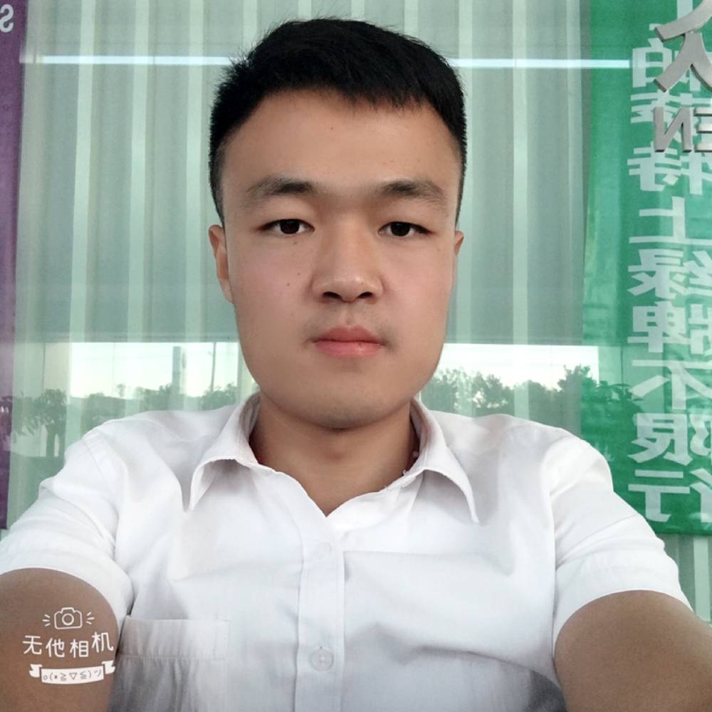 愤怒的海龟的照片
