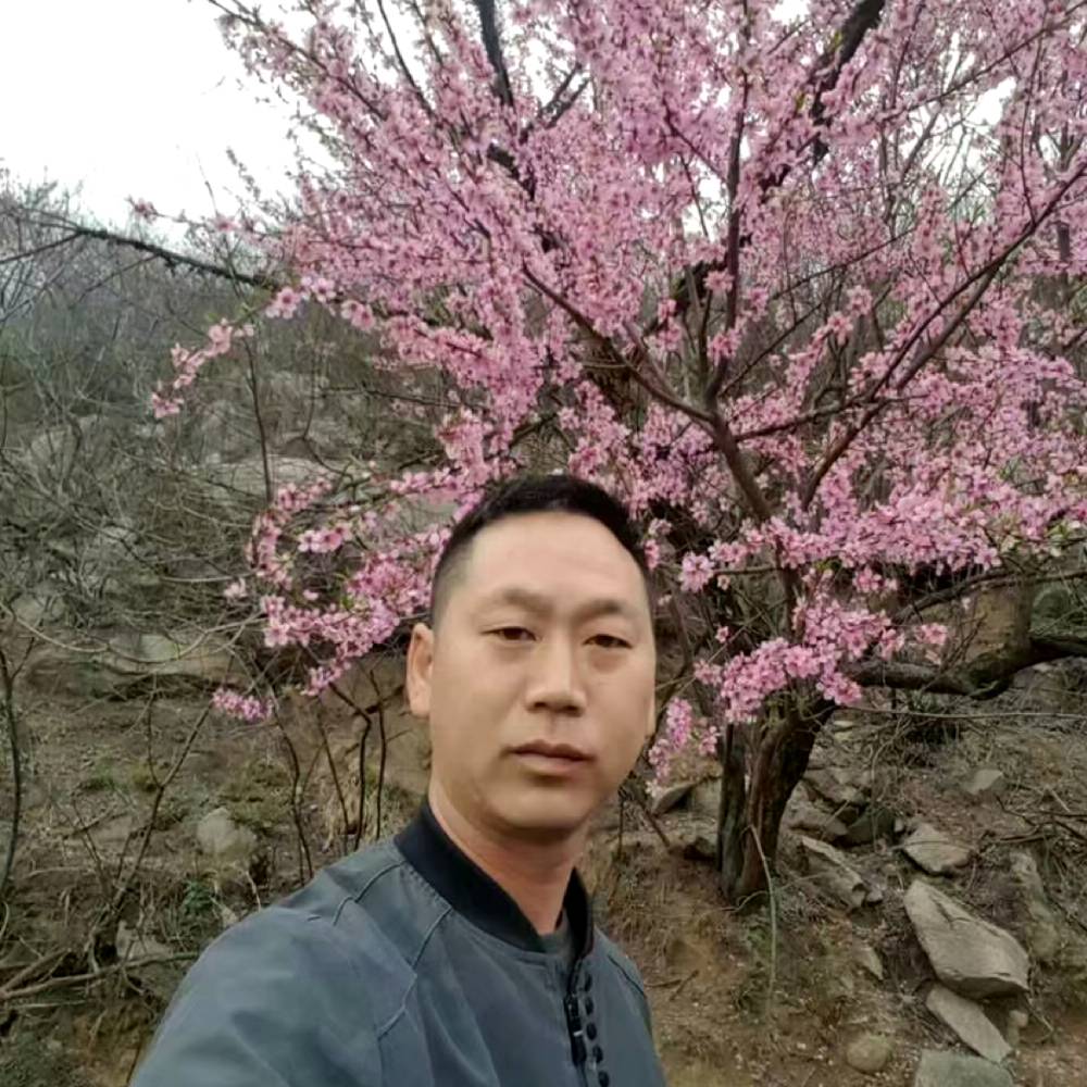 树叶深拥发嗲的照片