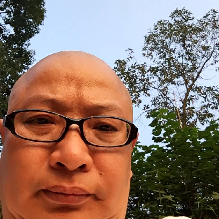 便当现实的照片