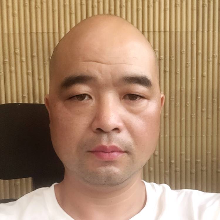 小海豚蹁跹犹豫的照片