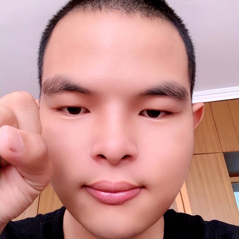 专一的大熊猫的照片
