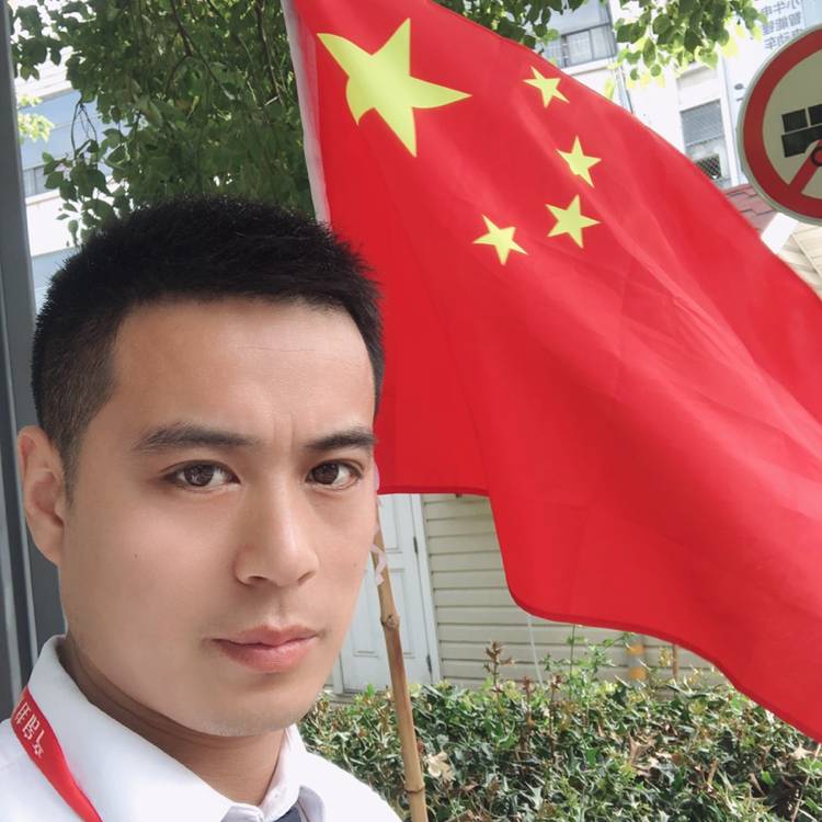 森林牧歌的照片