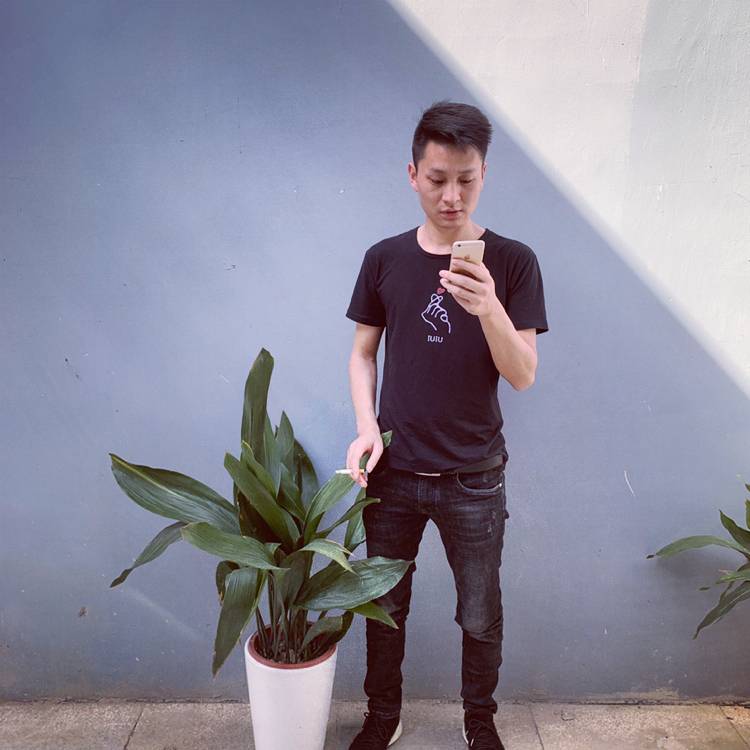 绚烂扯暖阳的照片