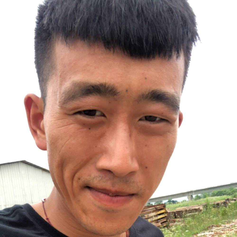 金林,的照片