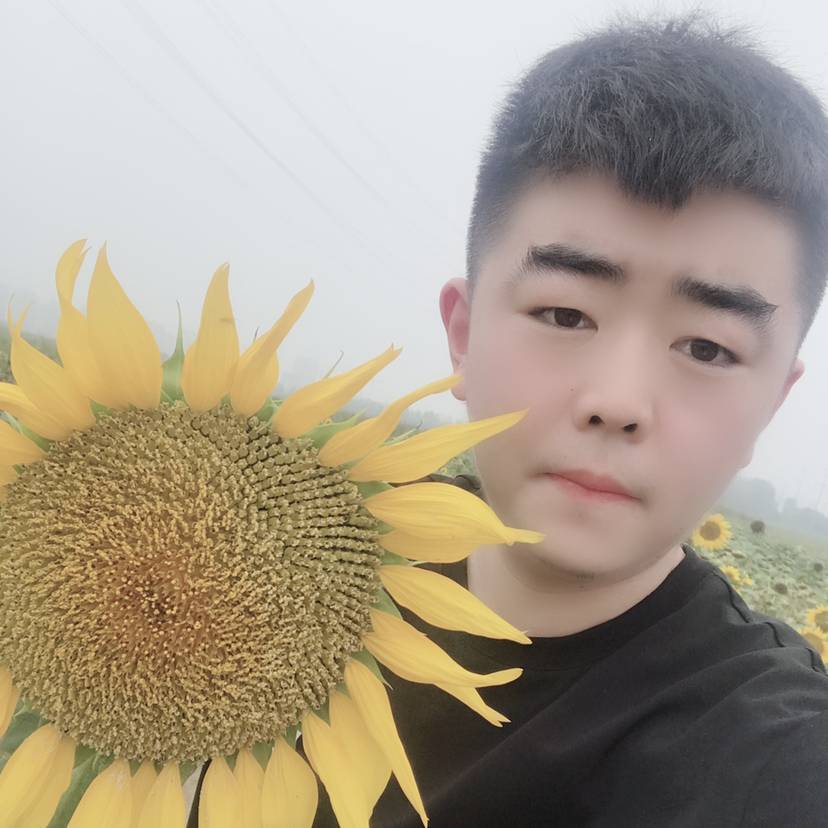 风中追凨的照片