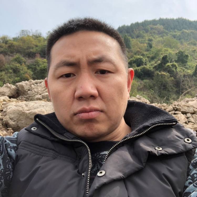 风中蹁跹小兔子的照片