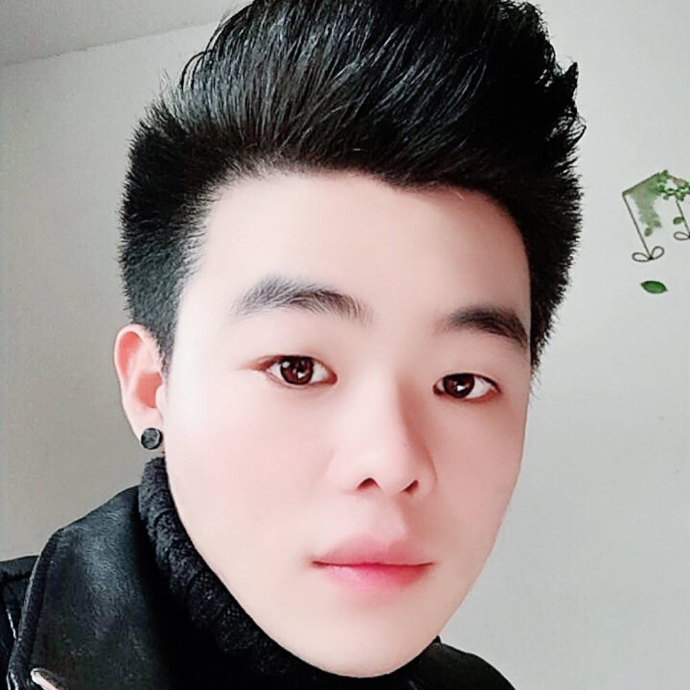 毛毛虫的照片