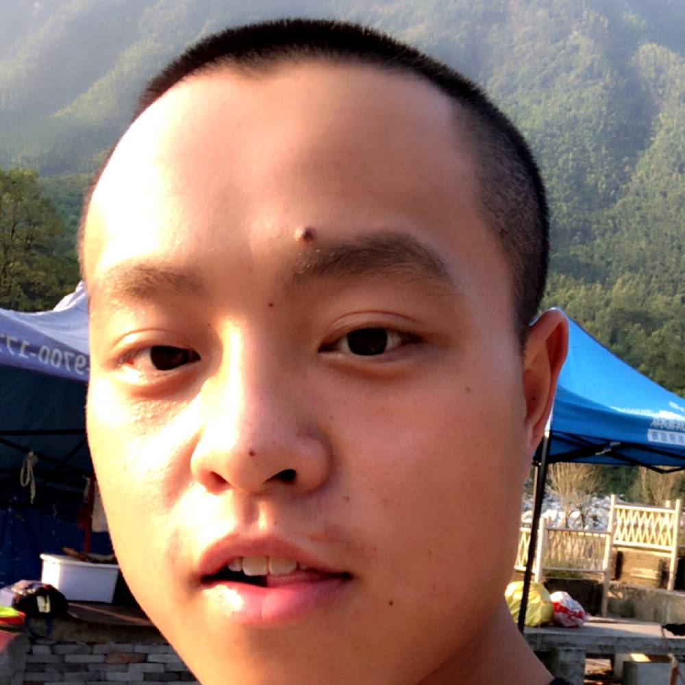 山里的孤狼的照片