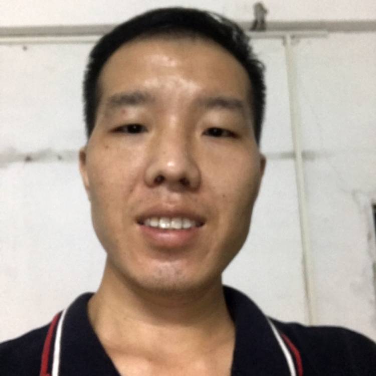 老虎与漂亮的照片
