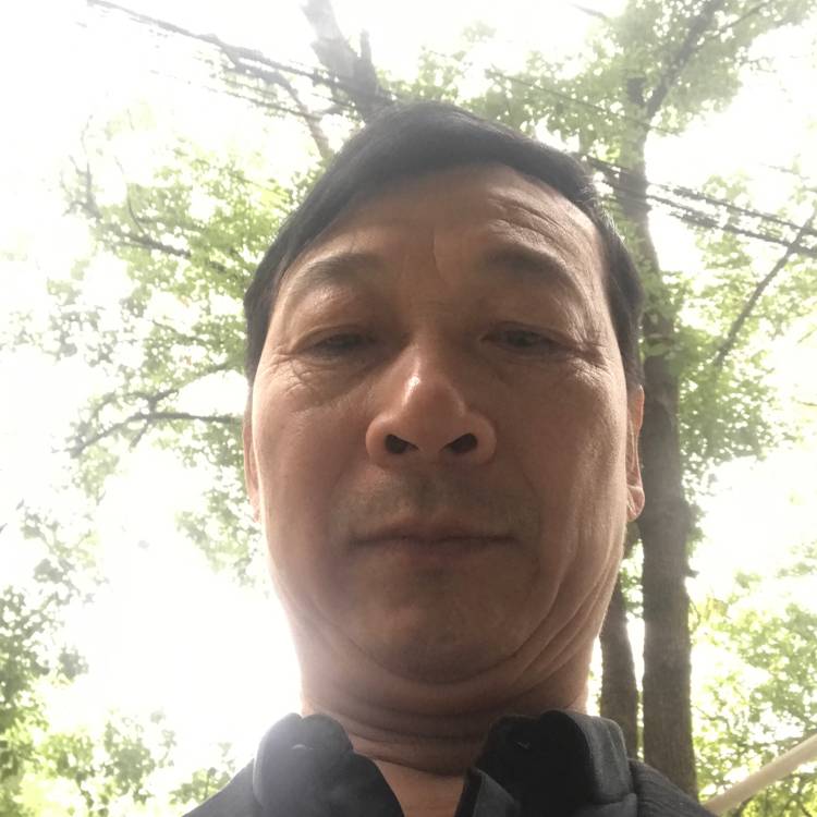 羚羊001的照片