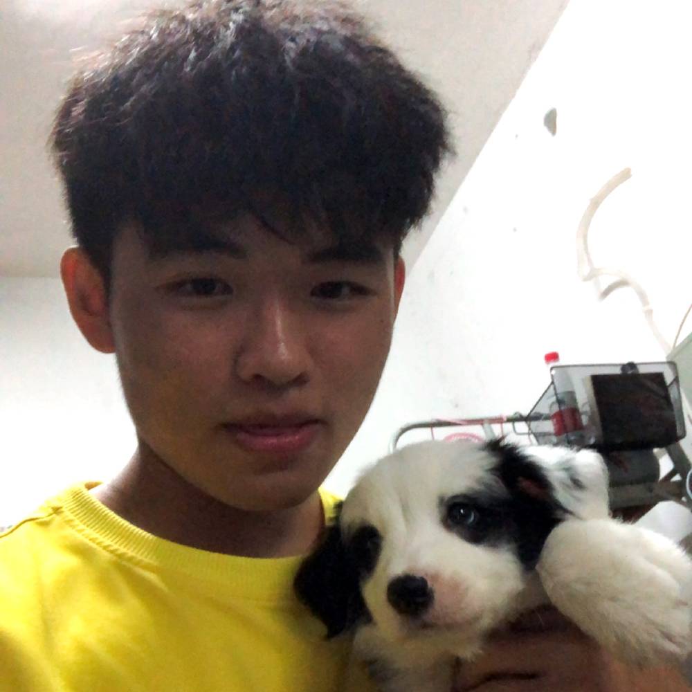 下一秒的的照片