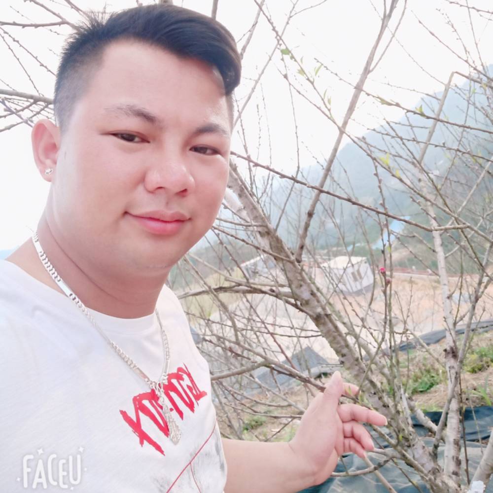 往事向难过的照片