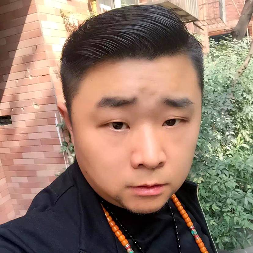 机灵改变大地的照片