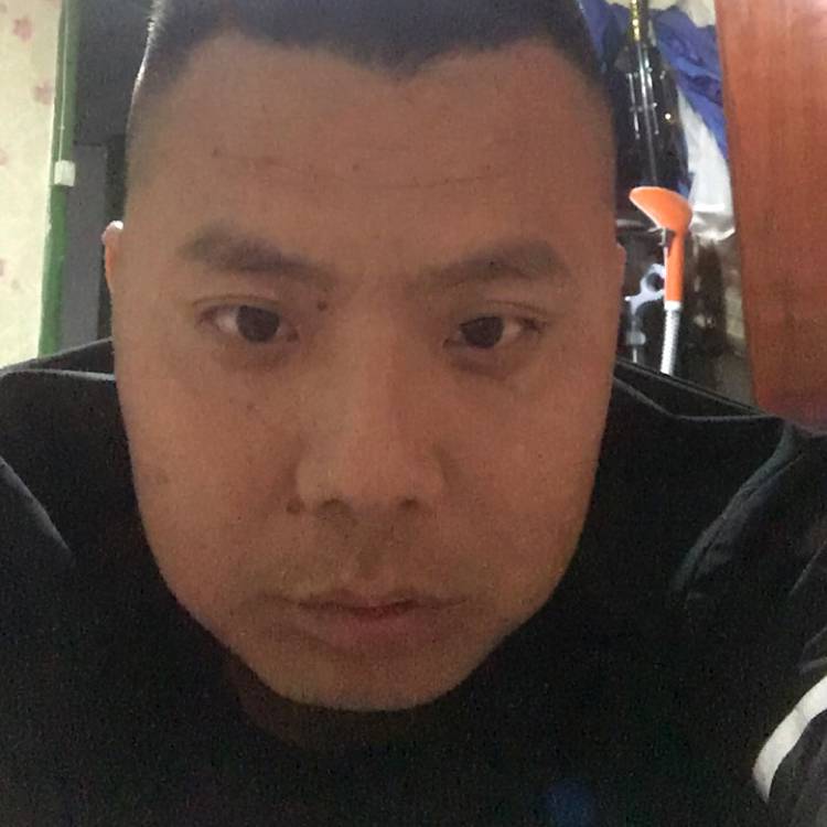 小兔子明媚的照片