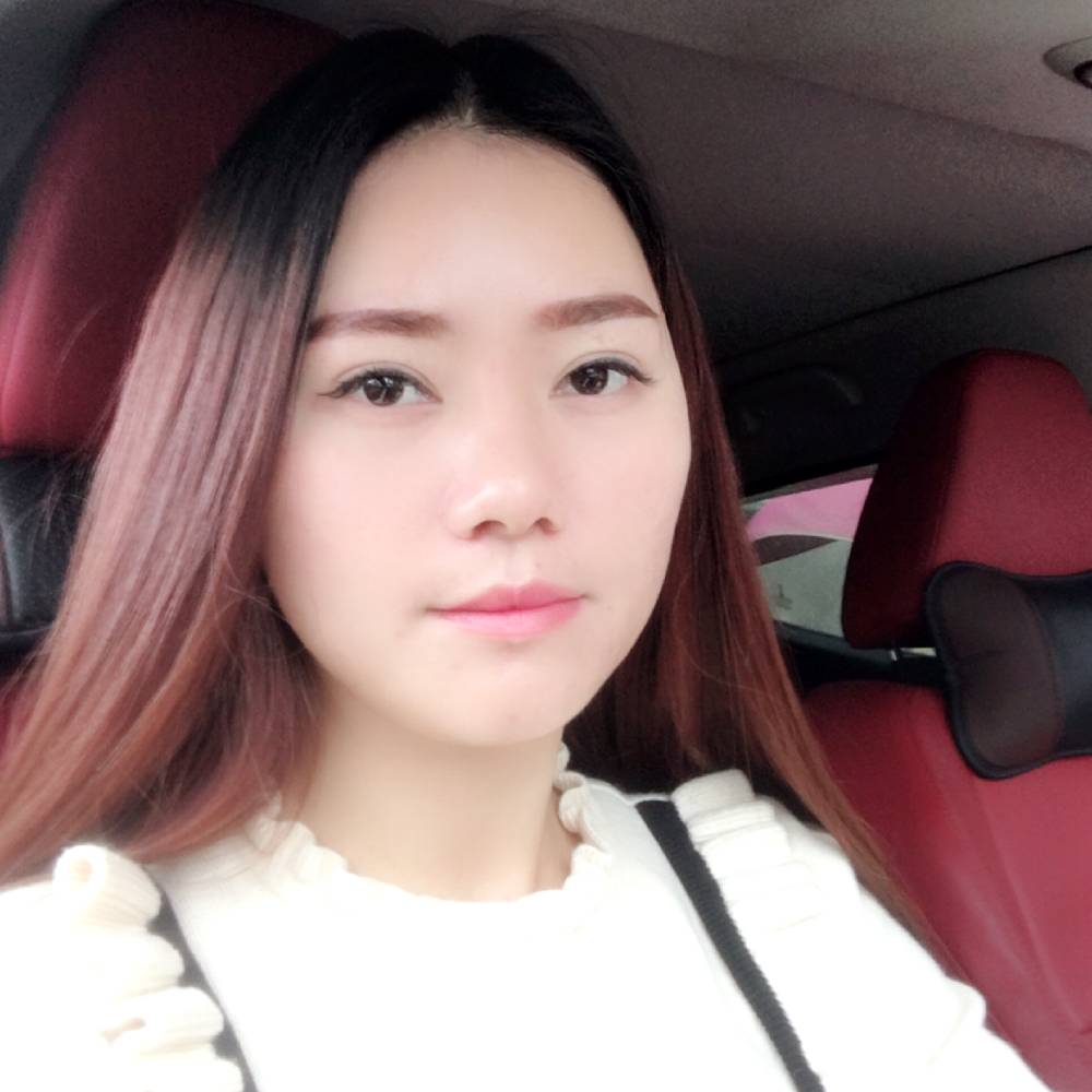 迷路斑马的照片