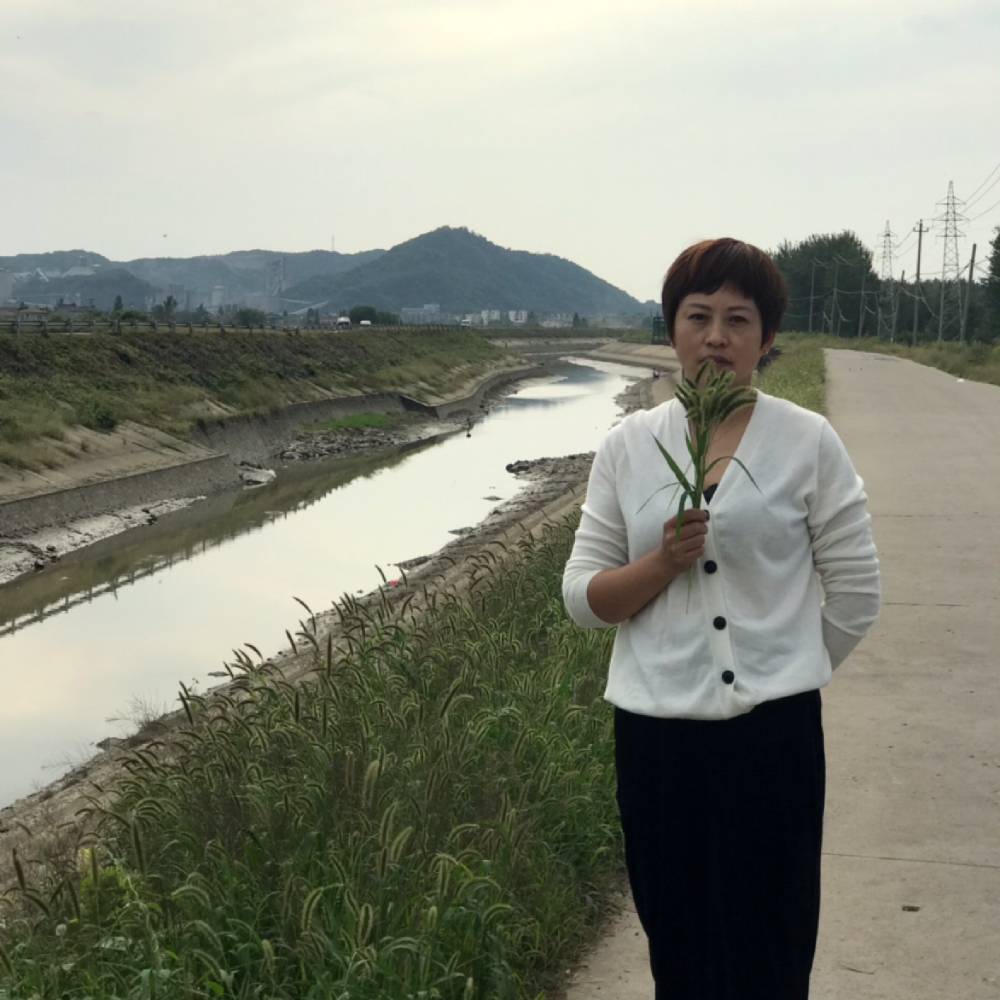玲珑花语的照片