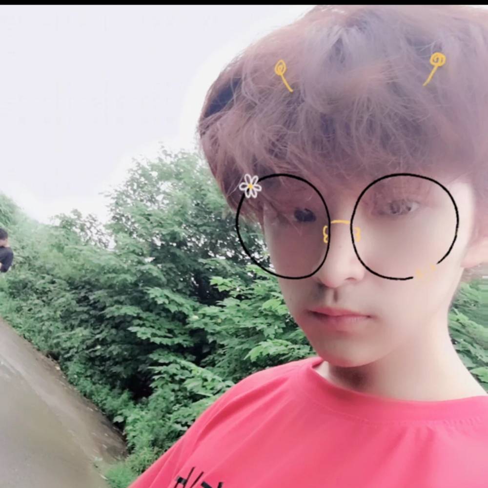 小海豚的照片