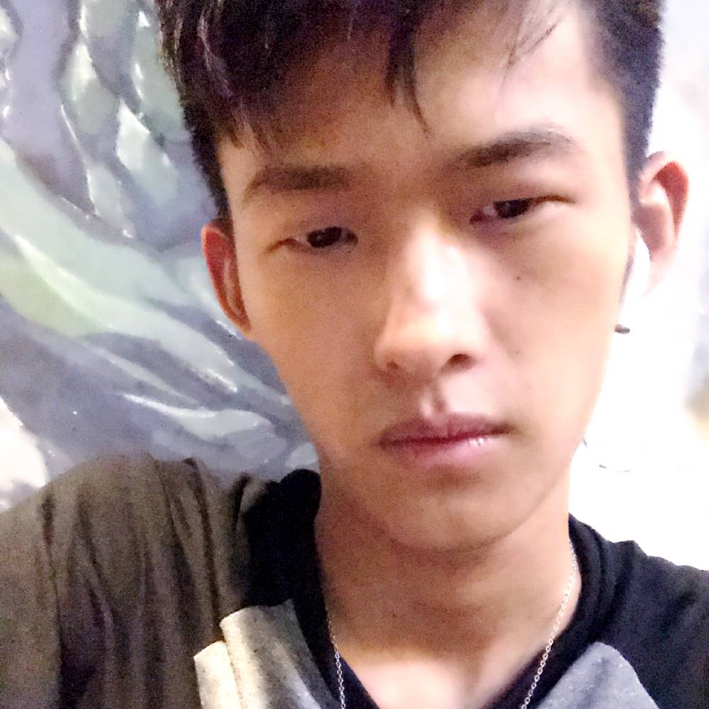 逐风与苗条的照片