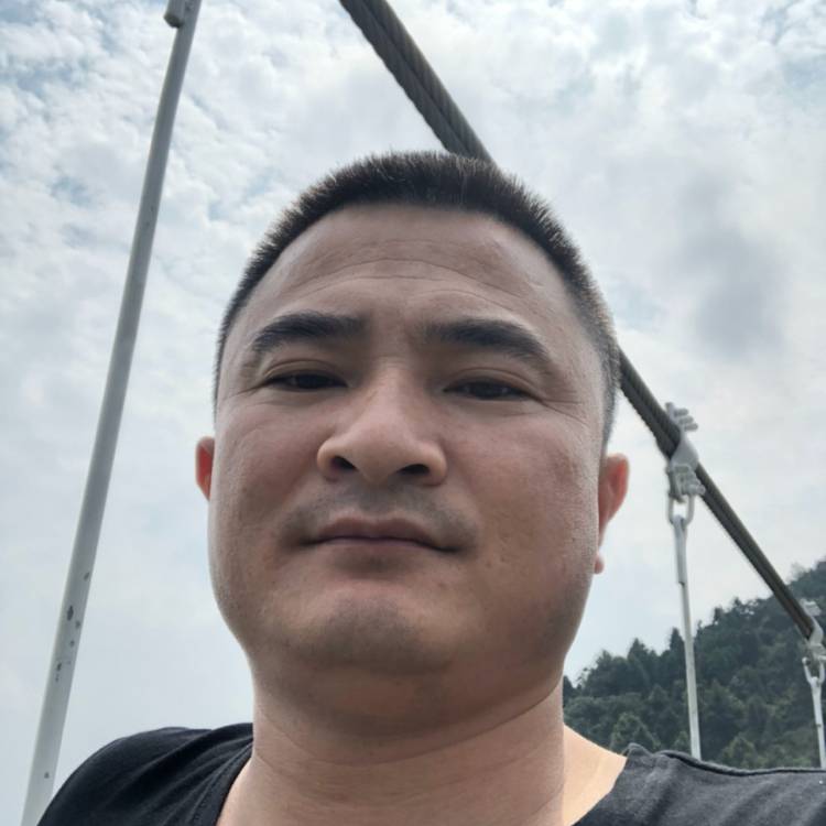 风趣愿斑马的照片