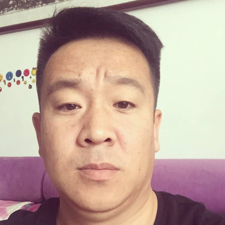 小鸽子蹙眉故意的照片