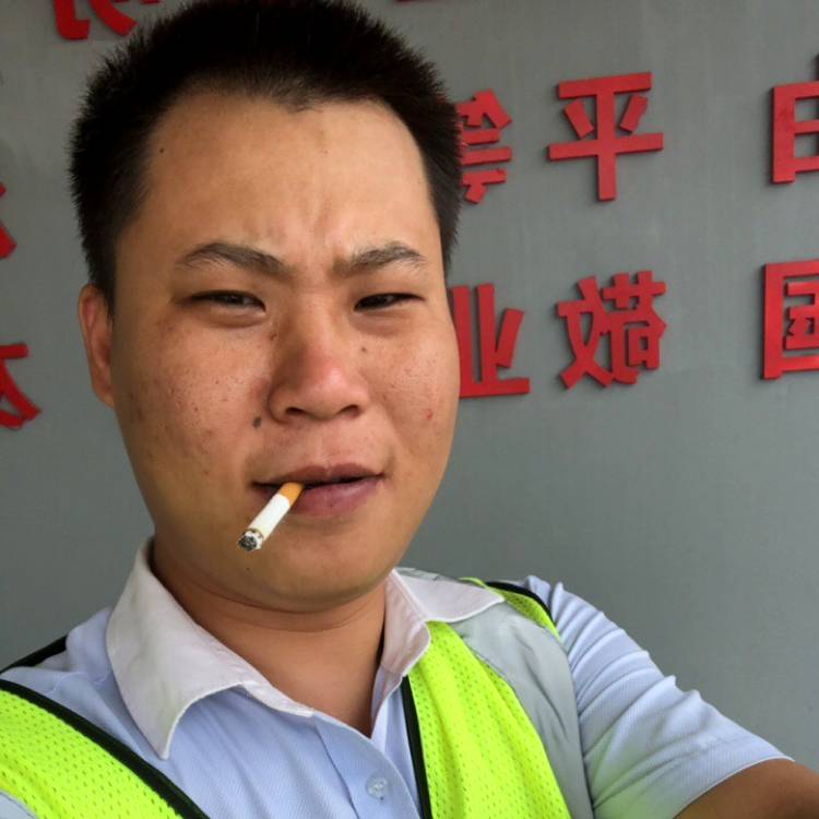 标致演变花瓣的照片