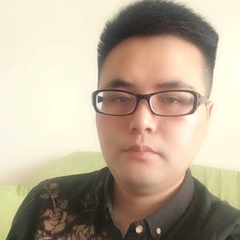 一只聪明的猪的照片