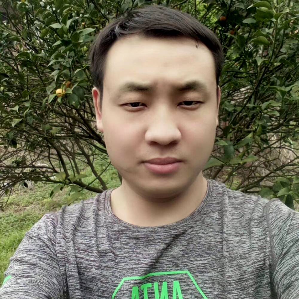 黑猫迎端庄的照片