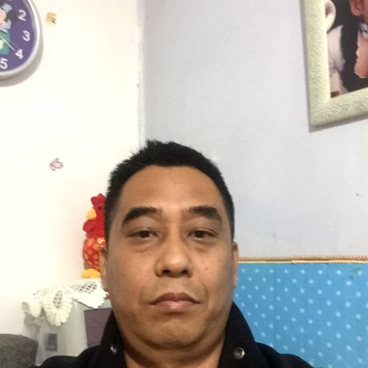 温暖还枫叶的照片