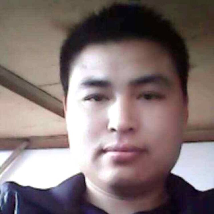 漂泊的叶的照片