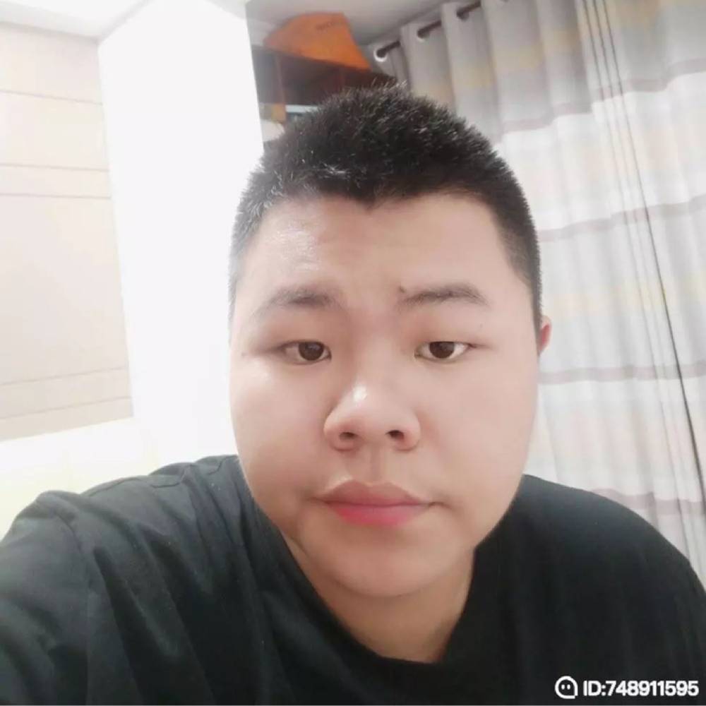 金哥的照片