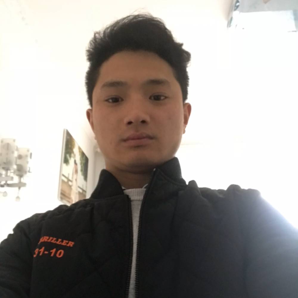 哈密瓜的蜜的照片