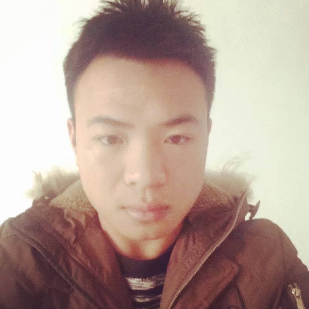 落叶石中的照片