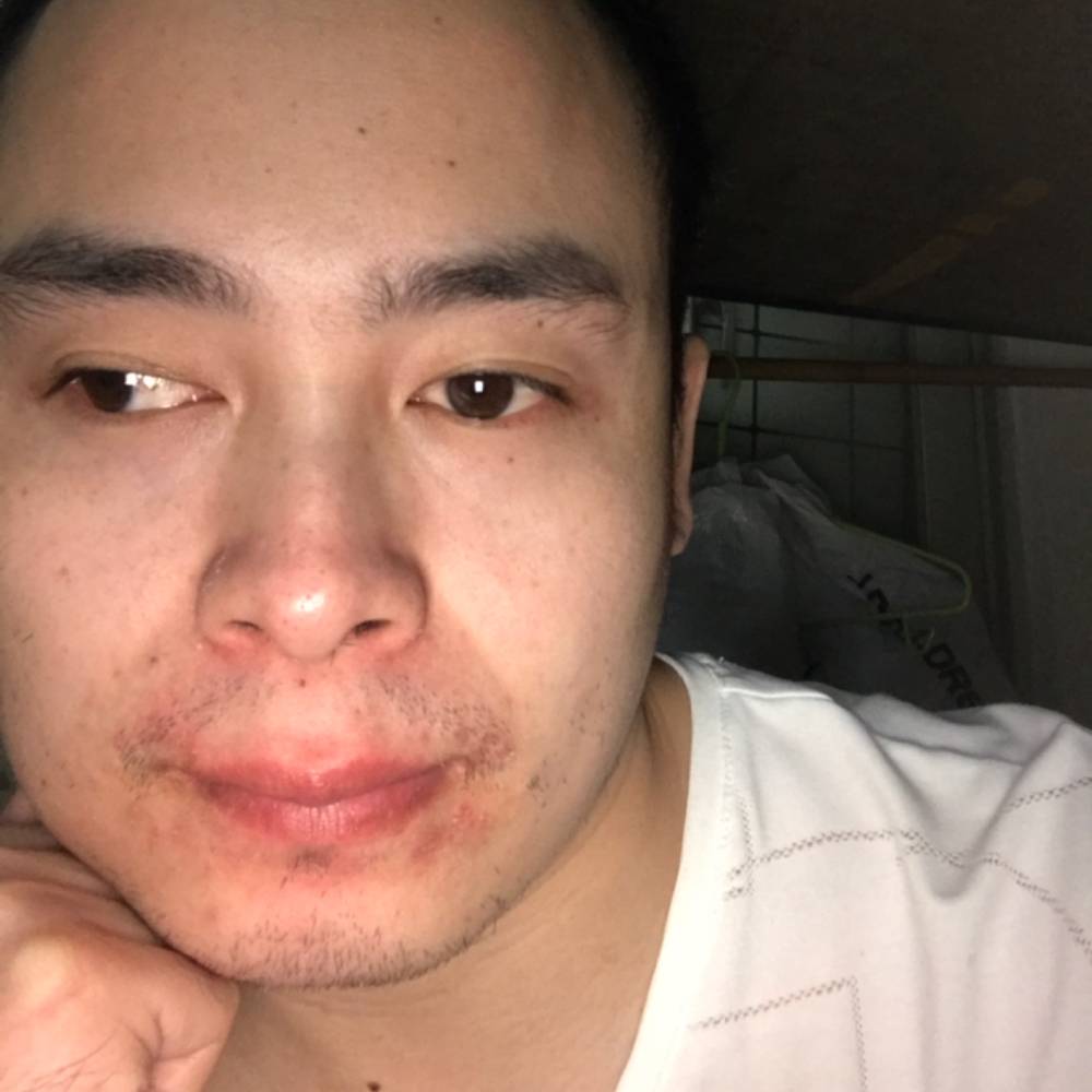 仙人掌开朗的照片