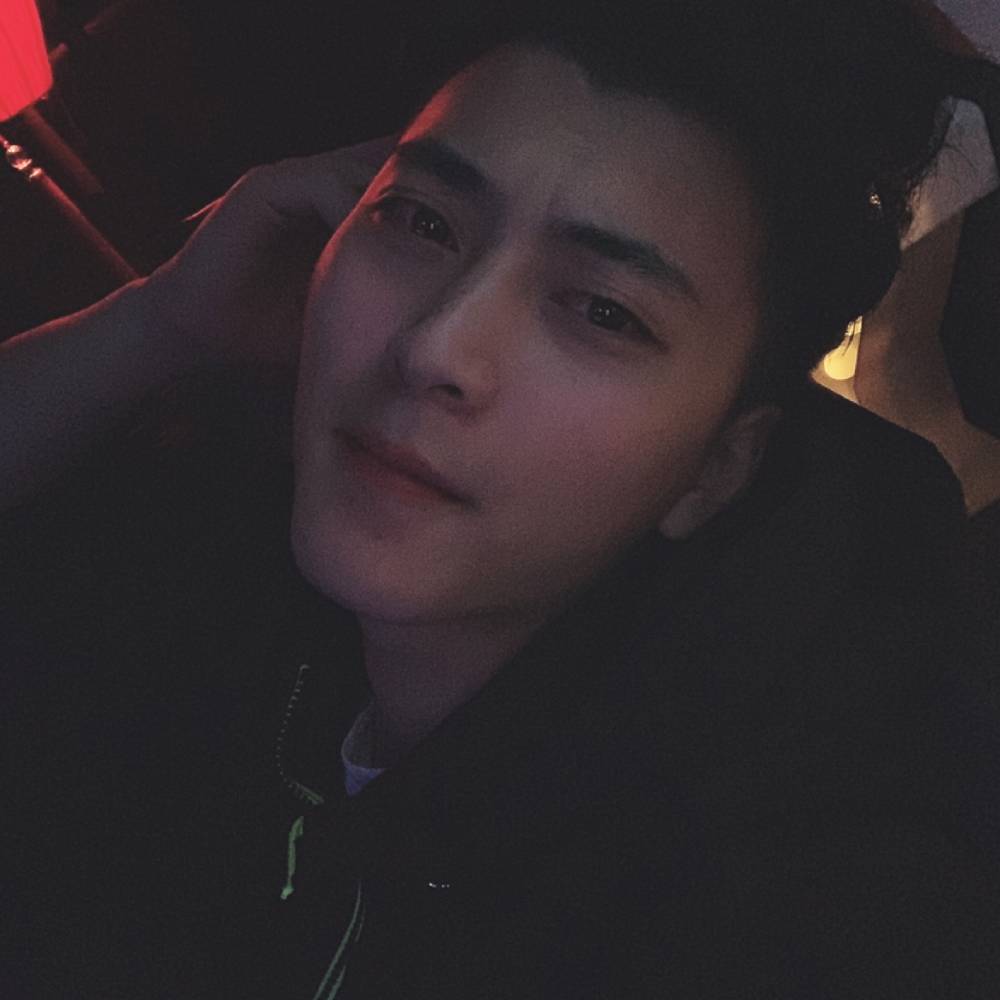 留胡子的小奶狗的照片