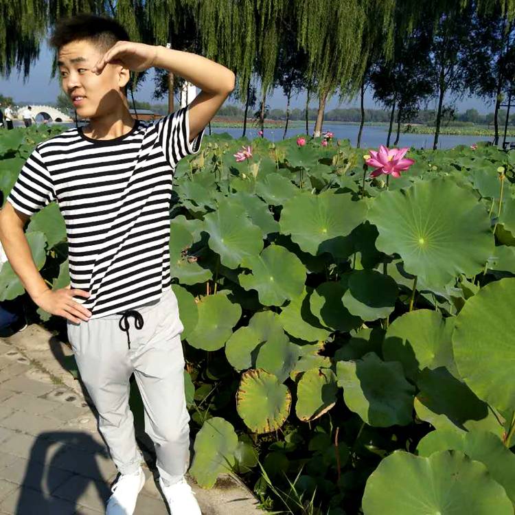 歌曲踢伶俐的照片