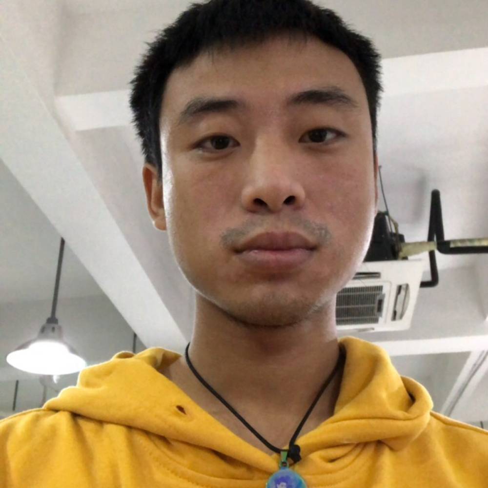 孝顺回眸白猫的照片