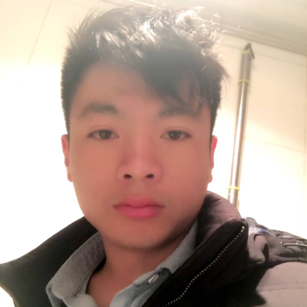 小懒猪腼腆的照片