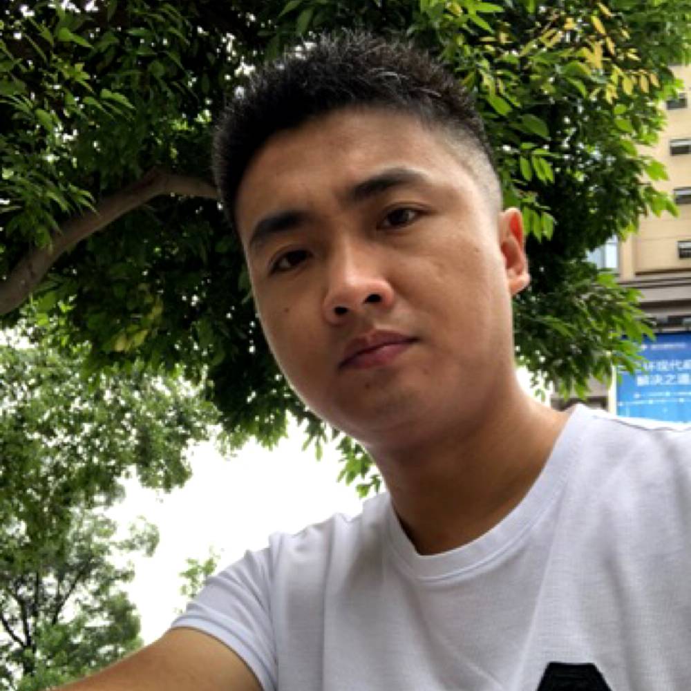 绿色风的照片