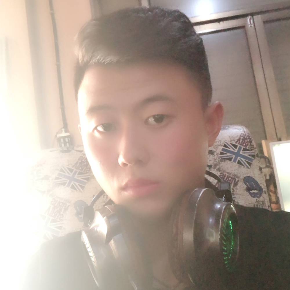 高贵拾忆黄蜂的照片