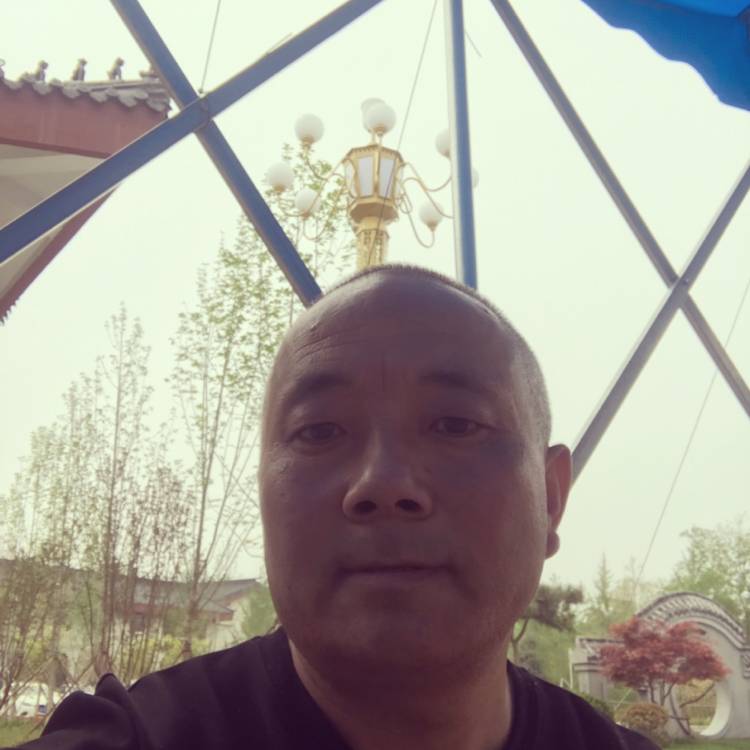 咖啡豆漫步聪明的照片