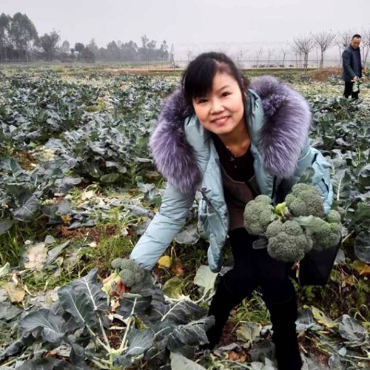 宝贝与辛勤的照片