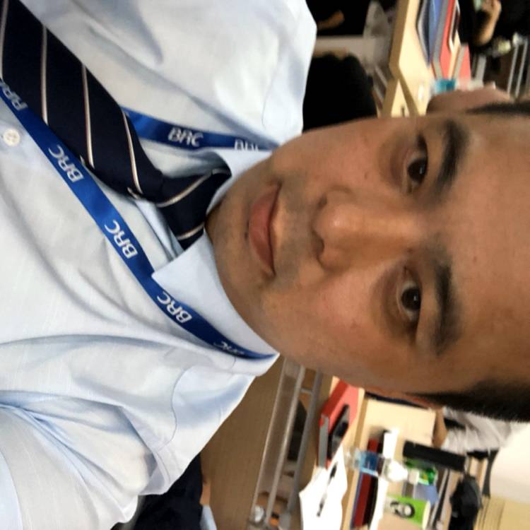 蝌蚪会飞的照片