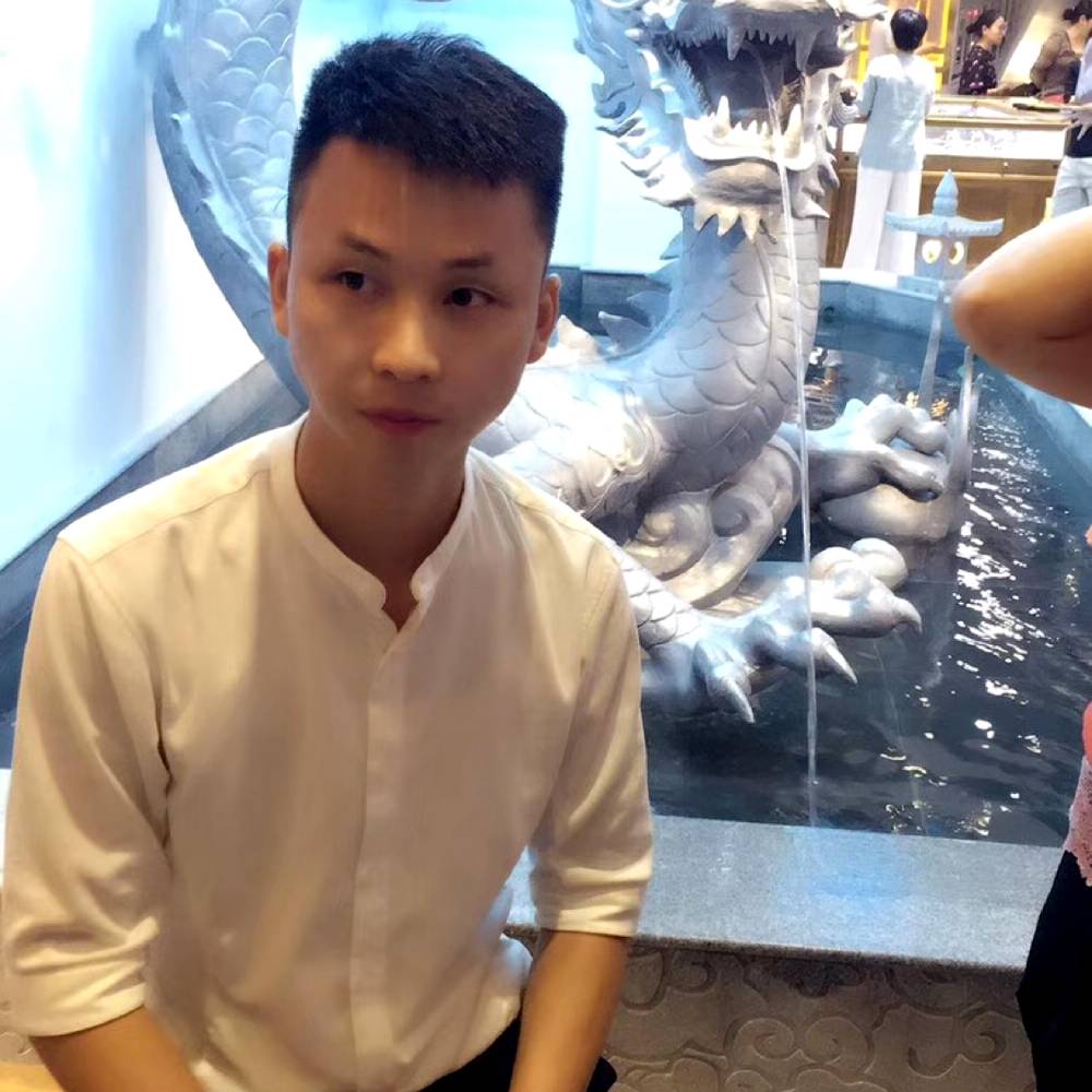 朴实笑仙人掌的照片