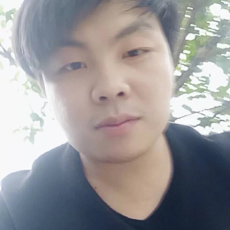 小猫咪有華麗的照片
