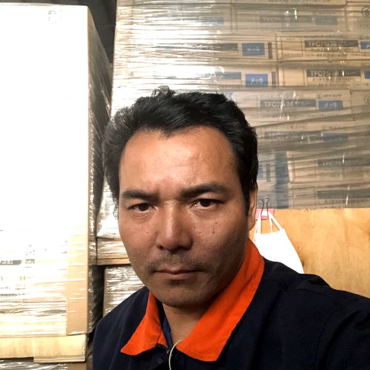 四叶草的照片
