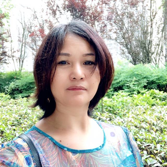 蝶舞勤劳的照片